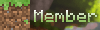 Group Tag